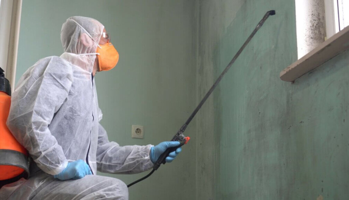 A professional performs commercial mold remediation in an infested office.