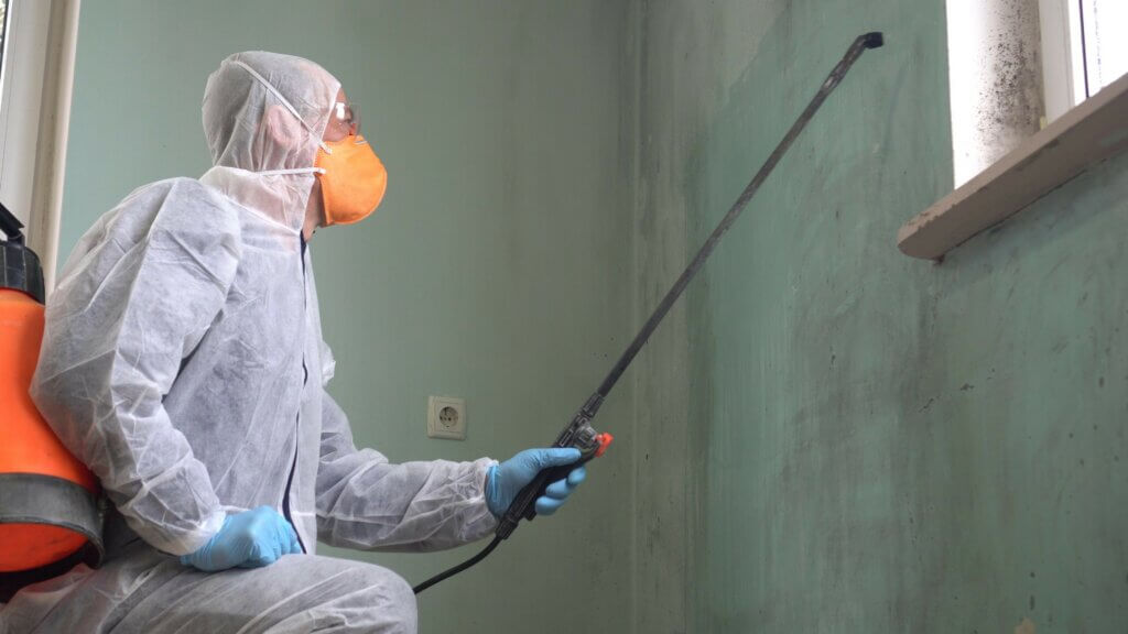 A professional performs commercial mold remediation in an infested office.