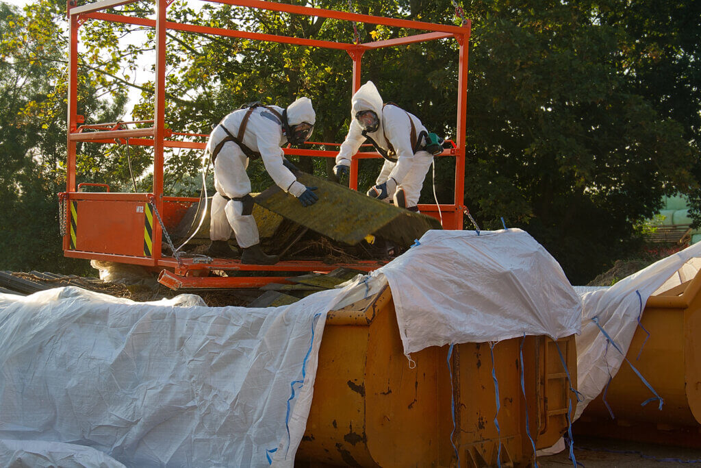 Professional asbestos abatement and removal