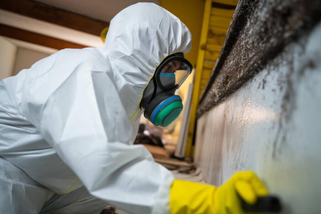 A professional technician performs mold abatement on a home.